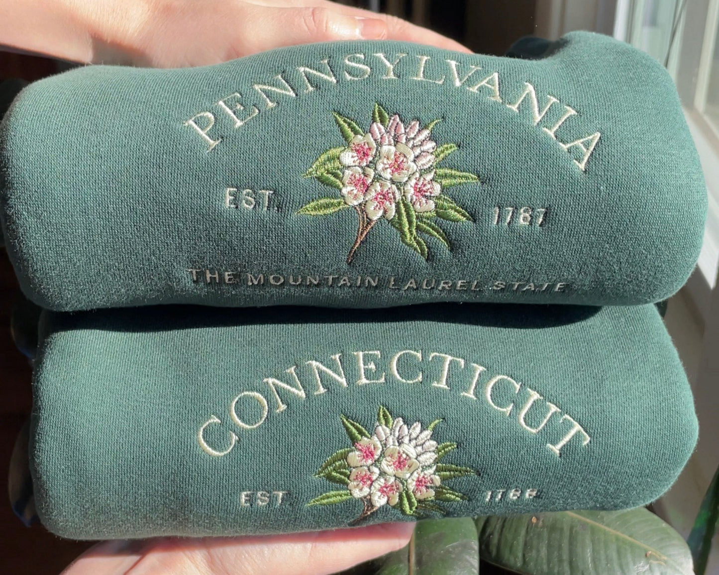 Connecticut Mountain Laurel Crew